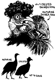 Illustration Thumbnail