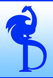 Tiny Blue Dragon Studio Profile